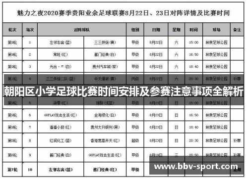 朝阳区小学足球比赛时间安排及参赛注意事项全解析